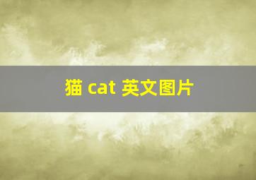 猫 cat 英文图片